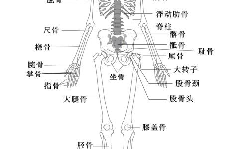 鸡肉和什么炖最有营养-鸡肉和什么炖又好吃又有营养价值网—知名的鸡肉和什么炖又好吃又有营养价值呢网站,分享鸡肉跟什么炖最好吃知识