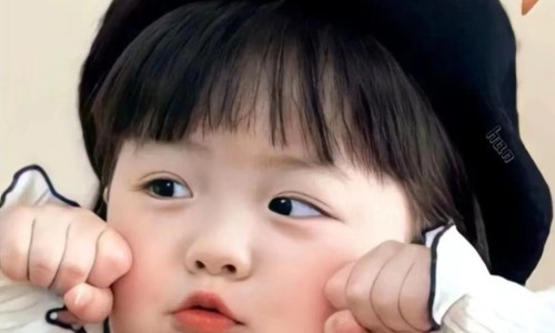 鸡肉和什么炖又好吃又有营养价值网—知名的鸡肉和什么炖又好吃又有营养价值呢网站,分享鸡肉跟什么炖最好吃知识
