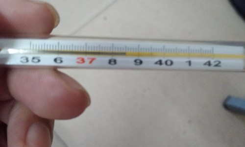 鸡肉和什么炖最有营养-鸡肉和什么炖又好吃又有营养价值网—知名的鸡肉和什么炖又好吃又有营养价值呢网站,分享鸡肉跟什么炖最好吃知识